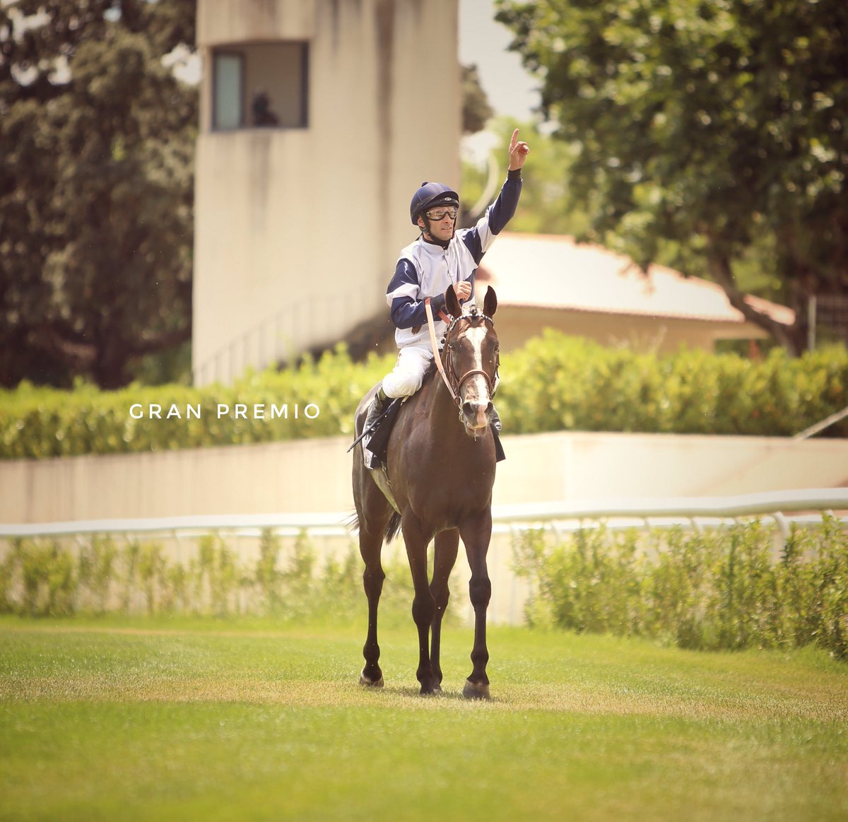 GranPremioTurf's tweet photo. Entre los top jockeys de nuestro país, faltaba @BorjaFayos por coronarse en el G. P. de Madrid. 

Muy inteligente a la hora de aprovechar el espacio por el interior y demoledor como siempre en la lucha. 

Ahí estuvo la clave de su victoria. 🙌🏻🏆 https://t.co/0OJknlGtgf