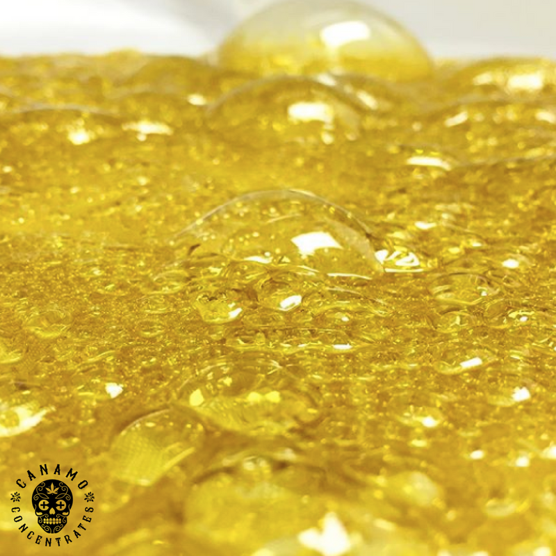 CanamoCC's tweet photo. Official countdown to #710. What is your favorite flavor: Dr.Diesel x Orange Tahoe OG, OGKB x Mendo Montage, Blue Kush x Birthday Cake? Name your fav 💨 #9days https://t.co/zMO3kW4F1c