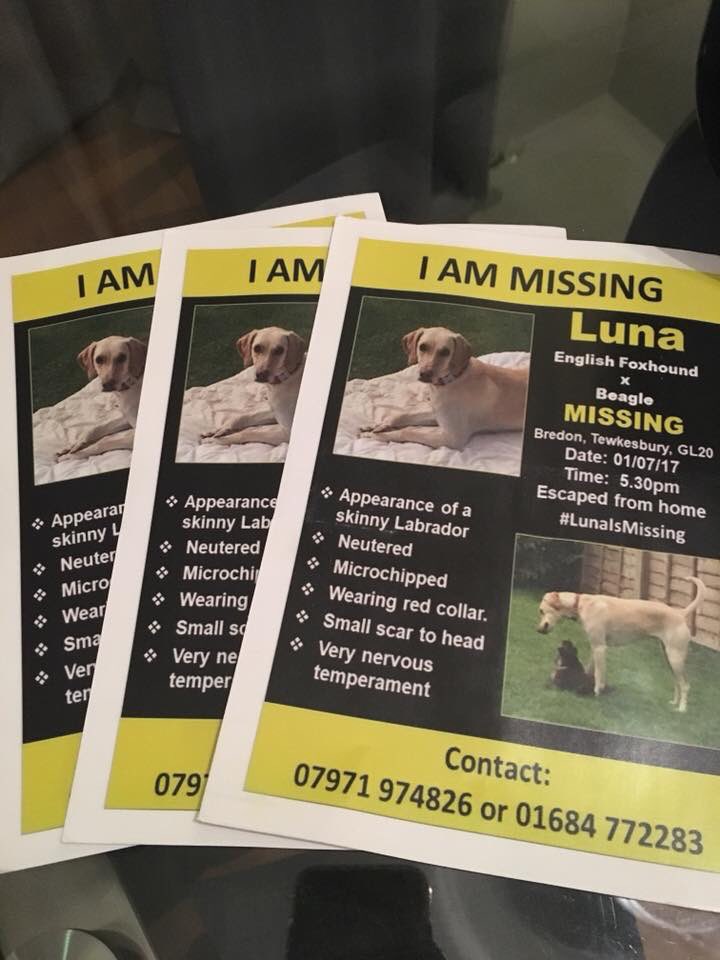 rosiedoc666's tweet photo. #letsfindLuna #stillmissing
‼️‼️TWEETSTORM‼️‼️
🐾Monday 2/7/18 8-9pm🐾
PLS JOIN IN 💔owners are devastated 💔
7 MONTHS GONE owner never imagined she'd be gone this long 😪
https://t.co/vvVEvlvSUH https://t.co/AVNXF2hcH6