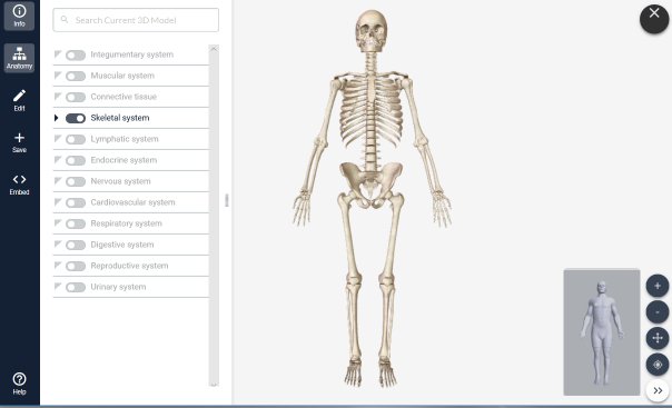 https://t.co/Vb6FU6zdlm 骨とか筋肉とか3Dで回せるサイト。医学系のサイトっぽいから、ものすごく細かく筋肉など部位ごとのオンオフができる。かなり重いけど。スマホで動作するかは知らない。勉強になる。
