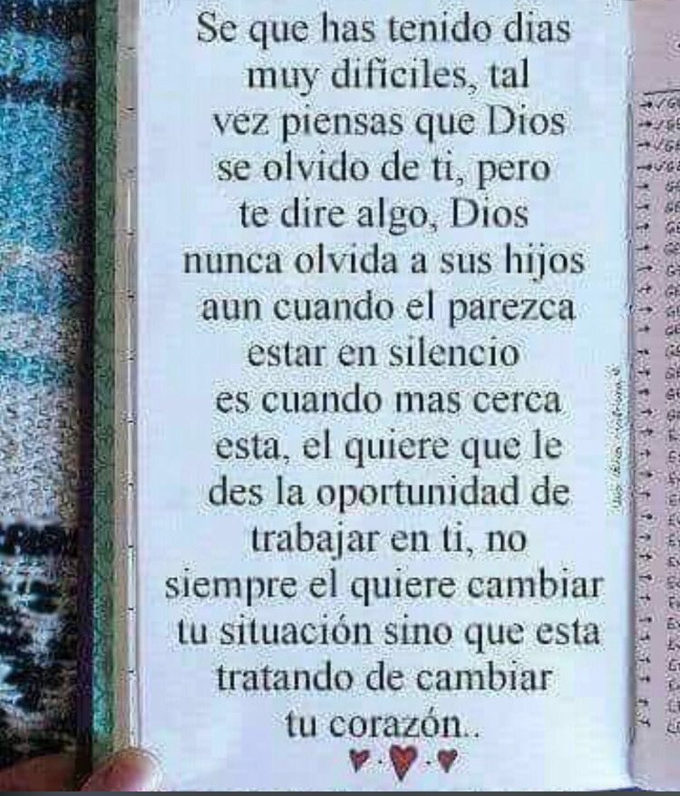 yaniris01374638's tweet photo. https://t.co/S9JjeZAmca