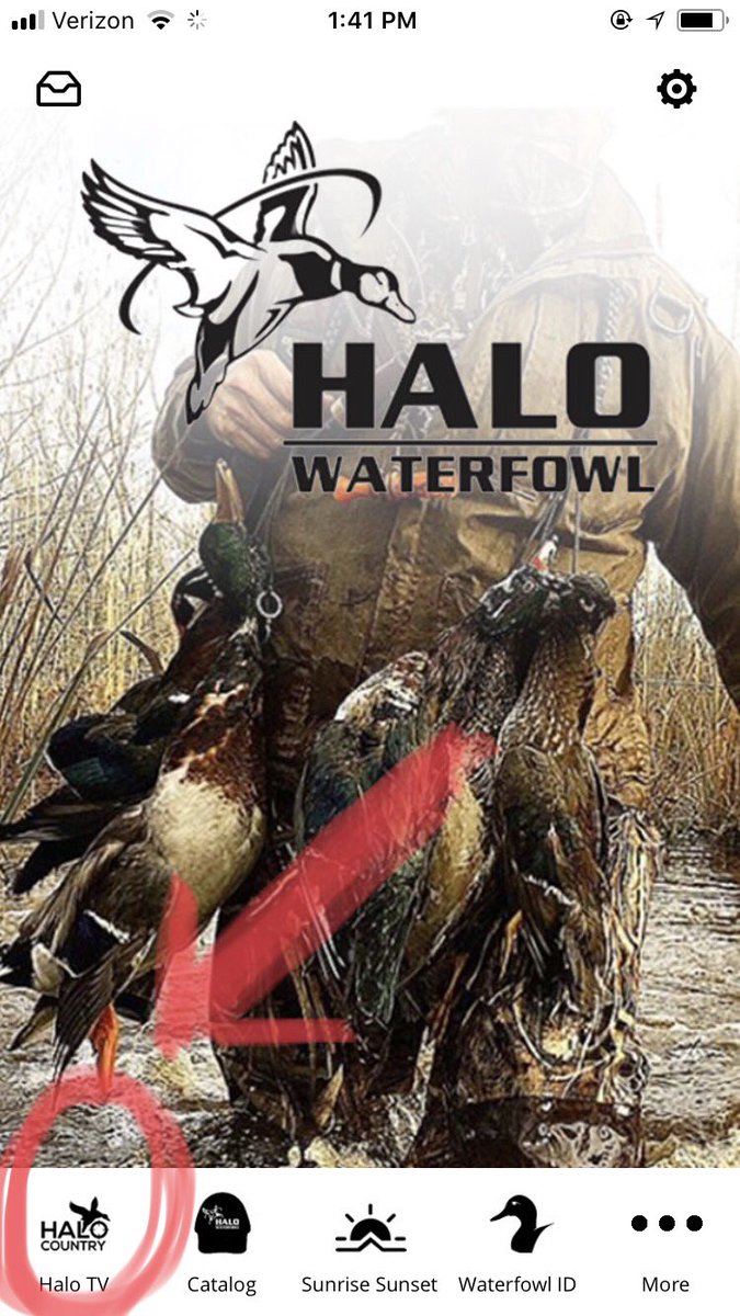 Once the app is downloaded.... go to HaloCountryTV tab and watch <a href="/dirtroadtv1/">DirtRoadTV</a> <a href="/RileyGreenMusic/">Riley Green</a> #gregcamp1 <a href="/Realtree/">Realtree</a>