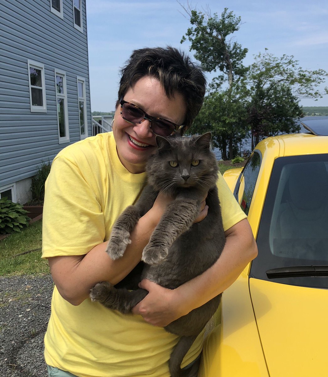 SherryBlinkhorn's tweet photo. Happy Canada Day! #CatsOfTwitter #MrMark #LoveMyBaby https://t.co/pnMMWpUarv