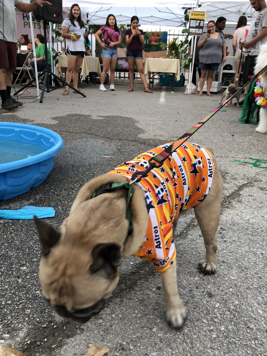 SpeakPug's tweet photo. This Frenchie is always woofing for the Astros. #astros #houston #dogpop https://t.co/b9xuXwsm4x