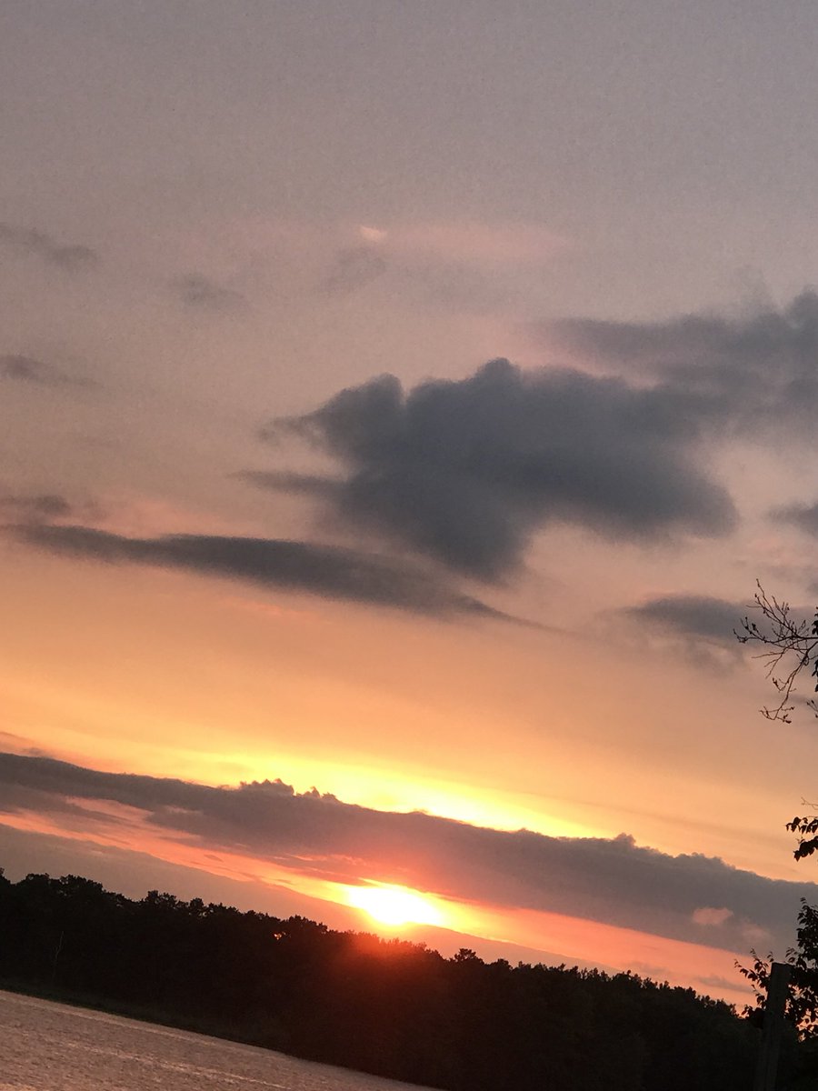 trulyambs's tweet photo. πππππππ πππ πππππππ β¨π
π₯ https://t.co/3EeOajc6ox