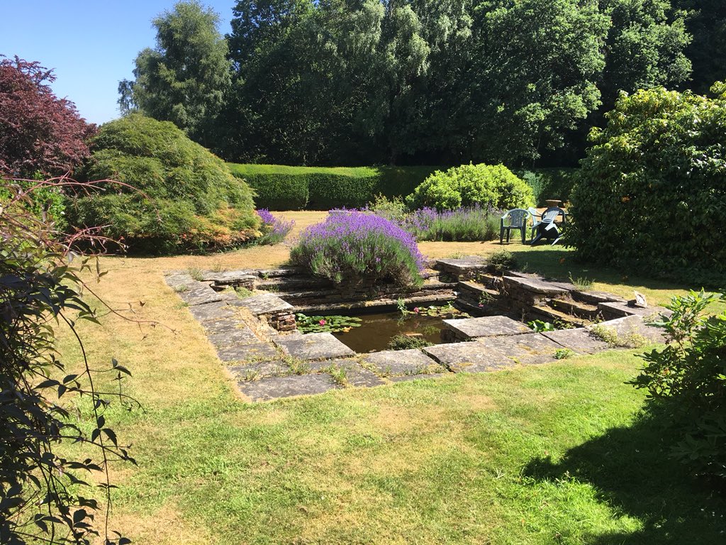 Anna Biller On Twitter Haha Yes The Dog Does Look Like A Flowerpot There