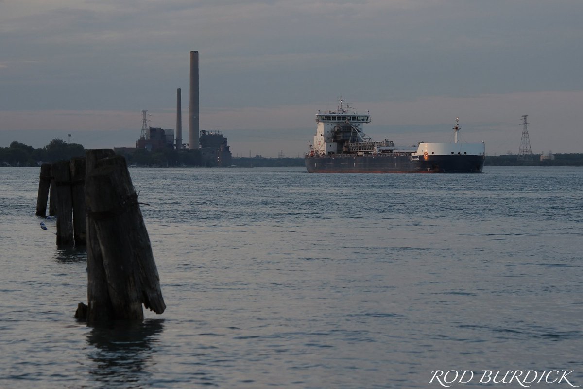 RodBurdick's tweet photo. New Equinox Class self-unloader, St. Clair River (June 15, 2018)
#algomacentral #algoma #algomaniagara #stclairriver #equinox #selfunloader #greatlakes #sunset https://t.co/QPm07tk0Zg