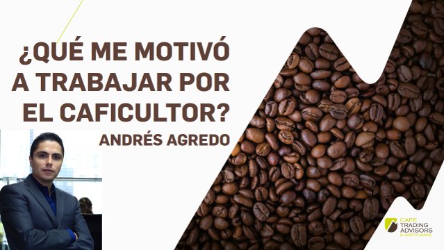AndresCafeTrade's tweet photo. Así fue como llegué al apasionante mundo del #Café y cómo quiero aportarle al gremio desde mi conocimiento en los mercados financieros: https://t.co/tt46LxZS5P  @InvertirEnCafe ☕ 📈 #CaficulturaRentable #CaficulturaSofisticada https://t.co/o8WNbILs6H