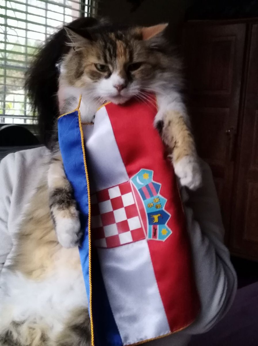 ovejuna's tweet image. Grande #Croacia @EstadioCroata @EcosurCastro @Crochilo