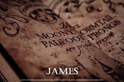xJamesProngs's tweet photo. » 𝖳𝗈 𝗅𝗂𝗏𝖾 𝗐𝗂𝗅𝗅 𝖻𝖾 𝖺𝗇 𝖺𝗐𝖿𝗎𝗅𝗅𝗒 𝖻𝗂𝗀 𝖺𝖽𝗏𝖾𝗇𝗍𝗎𝗋𝖾.

         ↳  𝟣/𝟦. 𝖯𝗋𝗈𝗇𝗀𝗌. 
         ↳ 𝖦𝗋𝗒𝖿𝖿𝗂𝗇𝖽𝗈𝗋.
         ↳ 𝖰𝗎𝗂𝖽𝖽𝗂𝗍𝖼𝗁 𝖢𝖺𝗉𝗍𝖺𝗂𝗇. https://t.co/h8QHjflA2U