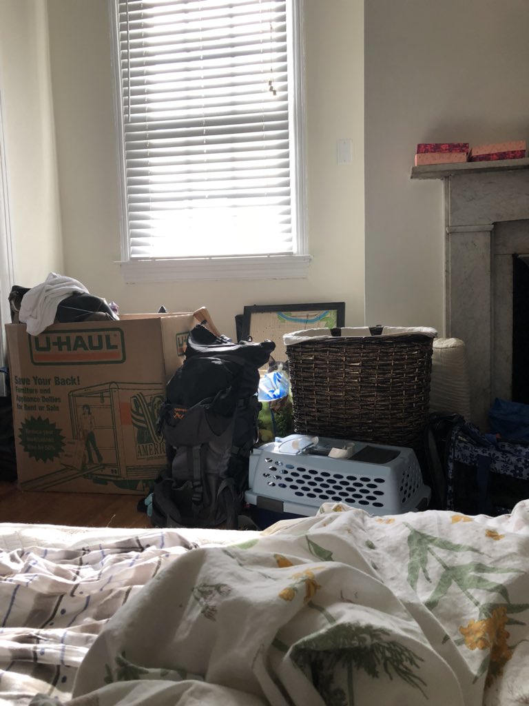 ClintonIsACat's tweet photo. Can you spot the kitty? https://t.co/8IZAIjCVbE