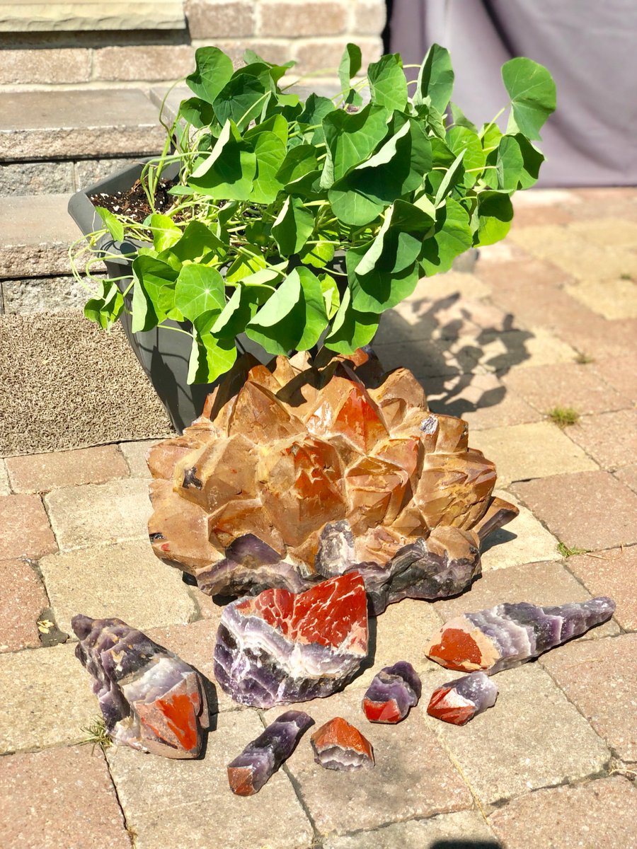 royalcangems's tweet photo. Spreading good vibes and Celebrating Canada Day! Auralite 23 is an amazingly special stone coming from only one location in the world in Ontario, Canada! Happy Canada Day!

#Auralite23 #Canada #CanadaDay #Healing #PositiveVibes #Quartz #RedQuartz #Rare #crystals https://t.co/W0Lbb1AHzw
