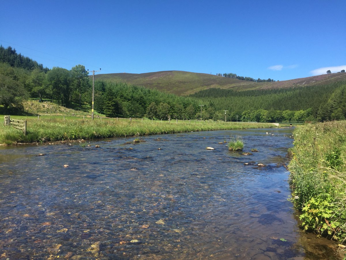 DeeDonSalmon's tweet photo. The Upper #RiverDon down to no more than a trickle. Desperately needing some #Rain now. Lovely day for a stroll along its banks though. #Donside #Corgarf #Strathdon #Bellabeg #Lost https://t.co/X7Jjml5U4H