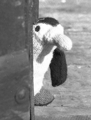 SaffronKim's tweet photo. “Hello!” #Pingwings #PeterFirmin https://t.co/f4Ror2Vcw6