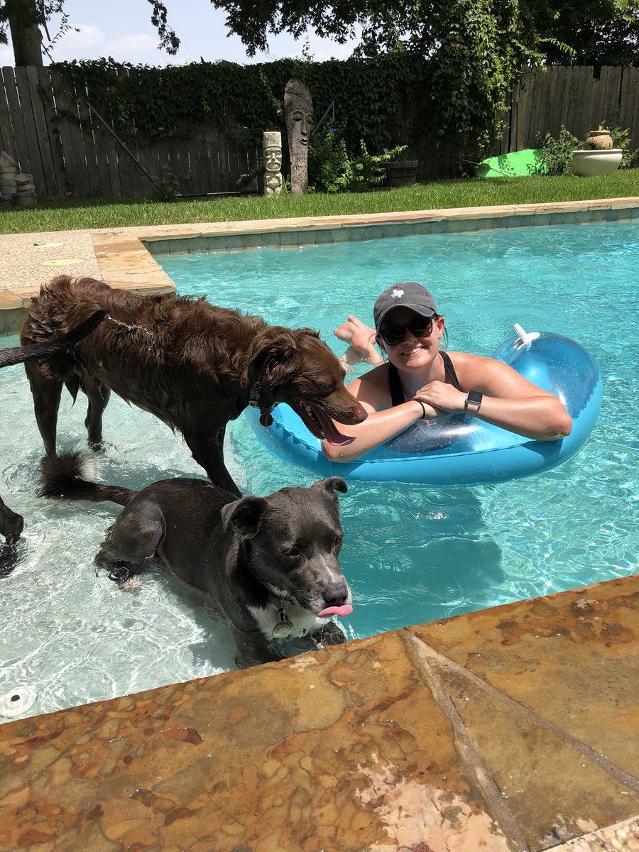 MrsTRitz's tweet photo. Perfect day for some pool time at my parents! #poolpups #poolselfie #ACEcubs #ACEsummer https://t.co/4h1OSxbMlk