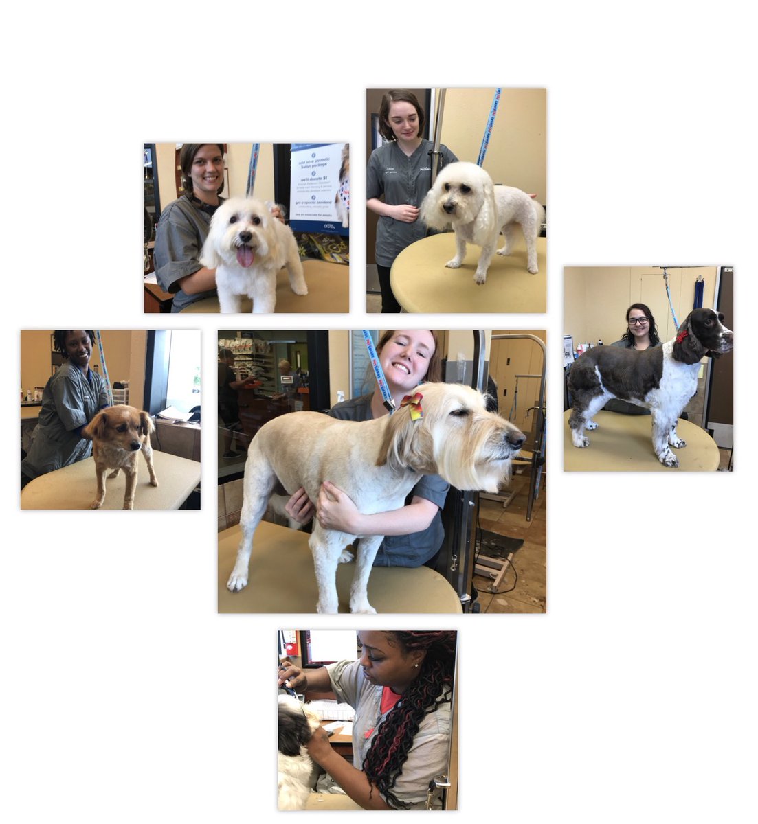Week 1 of academy completed for these amazing ladies! Proud DAT Moments! <a href="/NFLDATLElsasser/">Lindsay Elsasser</a> <a href="/KSpadeGuyton/">Kelly Spade Guyton</a> <a href="/KurtD_Salons/">Kurt Dennis</a> <a href="/mikeboal/">Michael Clark</a>