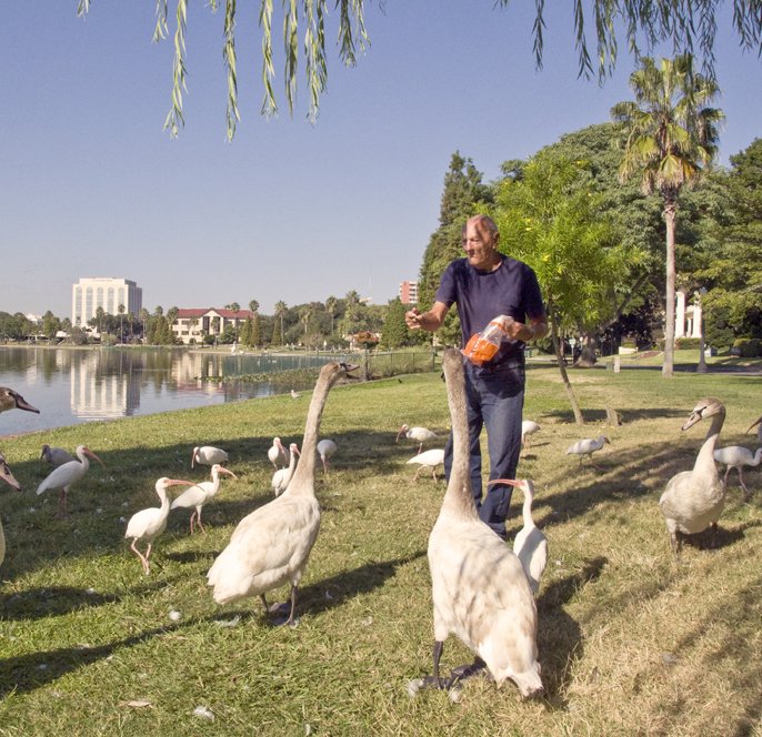 peakawc's tweet photo. It's a beautiful day and the sun stays out longer in these summer months making it perfect for a stroll around the lake nearest to you! #fitness #lake #lakeland #swans #healthy #workout #stayhealthy #swancity #wellness #healthandwellness #happyandhealthy #summer #florida #seniors https://t.co/sESzXZqvT8
