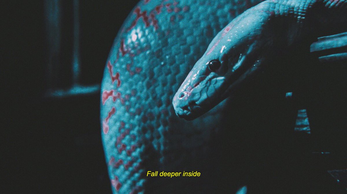 _lostcode's tweet image. (@/filmstiIIs)