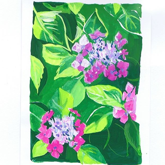 Ando Kiyoko 安藤貴代子 18 July シリーズ10 今年は紫陽花を描く前に梅雨明けしてしまいしした 掌中の絵 Pictureinthepalm ハガキサイズ Illustration イラストレーション イラスト リキテックスリキッド アクリル絵の具 Painting Sketch