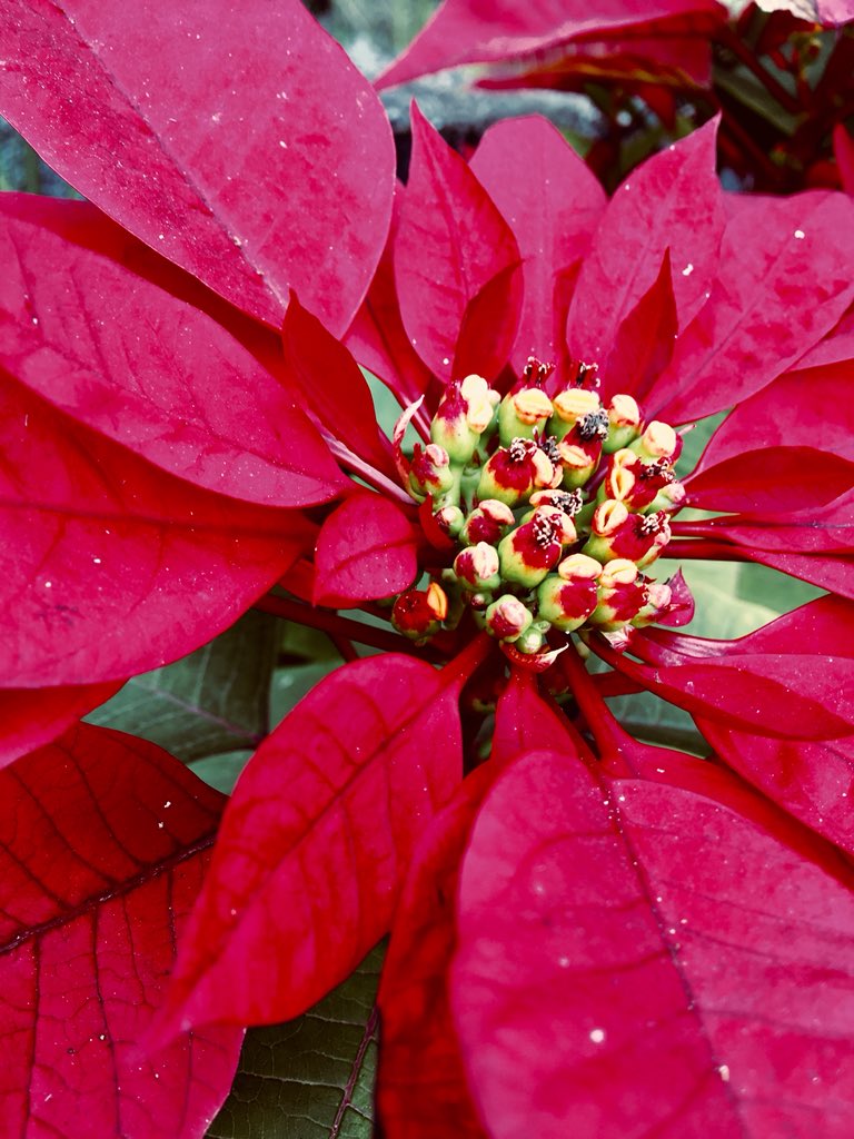 discutindo contemporaneidades