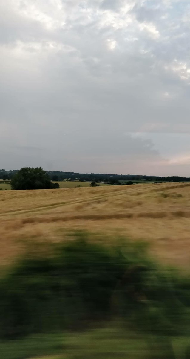 sandrakeating_'s tweet image. Somewhere outside Brighton #viewfromawindow #trainjourneys