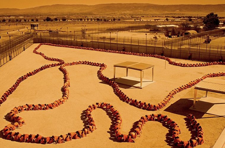 человеческая многоножка 2 многоножка. мартин человеческая многоножка.