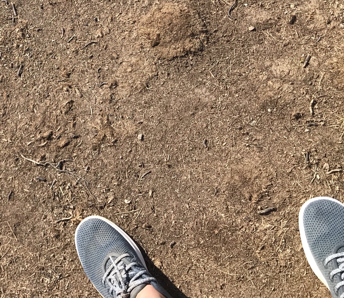 Jessica Scrace tweet media