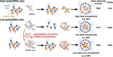 online Literacy Instruction