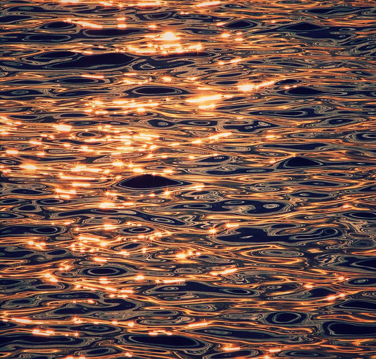 Willits's tweet photo. ✨🌊✨ https://t.co/UfzYZGsghb