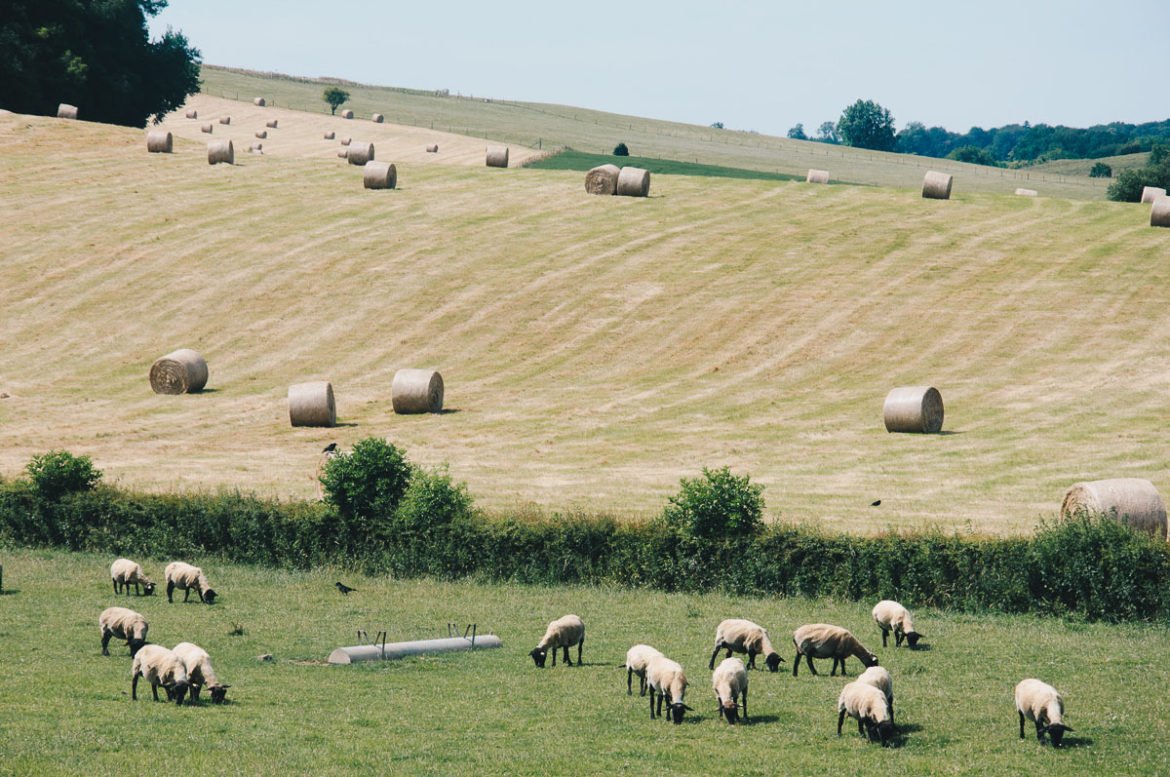 _mysweetescape_'s tweet photo. La semaine dernière, on a testé un week-end au calme &amp; sans portable entre pays de Caux et pays de Bray en Normandie! A votre avis, on a craqué ou pas? Retour en images &amp; en vidéo sur ce week-end sur le blog et pensée pour les compagnes du #lundifleuri !

https://t.co/VDsZUwiG79 https://t.co/x398DfaLxo