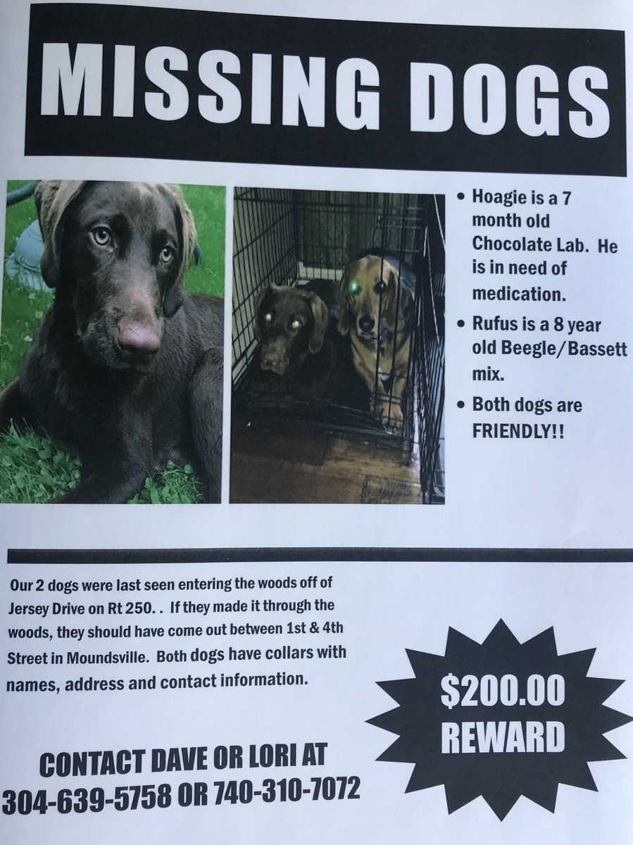 How can the Tweet activity about our dogs missing be at 9,000 and not one person has seen them???? PLEEEAAAASE COME HOME!!!