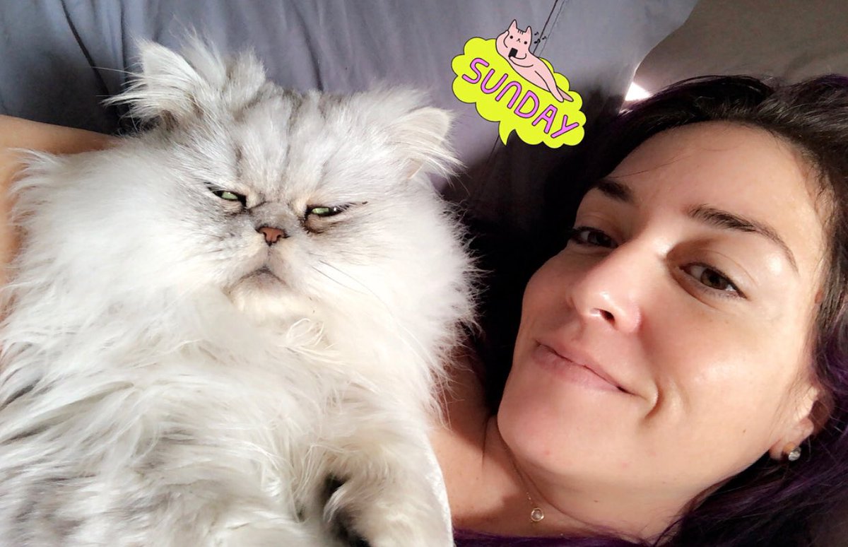 colonel_meow's tweet photo. #PapaPuffPants looks like that bouncer that won’t let anybody in, but you knew him since you were 10 so he a softie wit you. #DoesThisMakeSense #😂 #Backstory #ClubKitty #SundayFunday @crazyavey https://t.co/anVPDuFmdh
