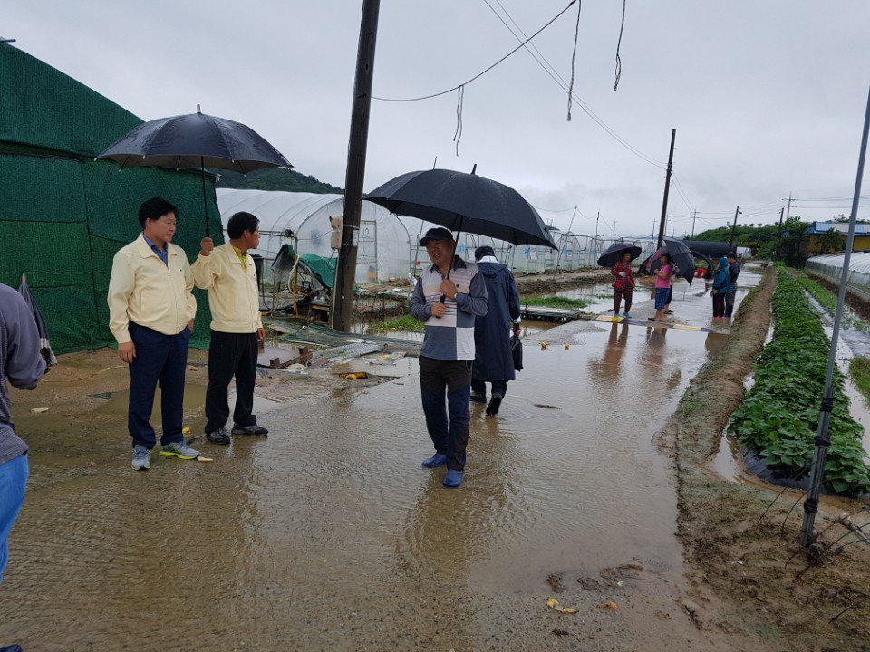 이병환 신임 성주군수는 취임식 날인 7월 2일 많은 비와 함께 제7호 태풍 ‘쁘라삐룬’이 북상함에 따라 예정된 취임식을 전격 취소하고, 휴일인 1일 오전부터 선남면 관화리 참외 침수농가 및 배수펌프장을 방문하여 태풍피해가 없도록 점검하였습니다.
#성주군  #별고을  #쁘라삐룬