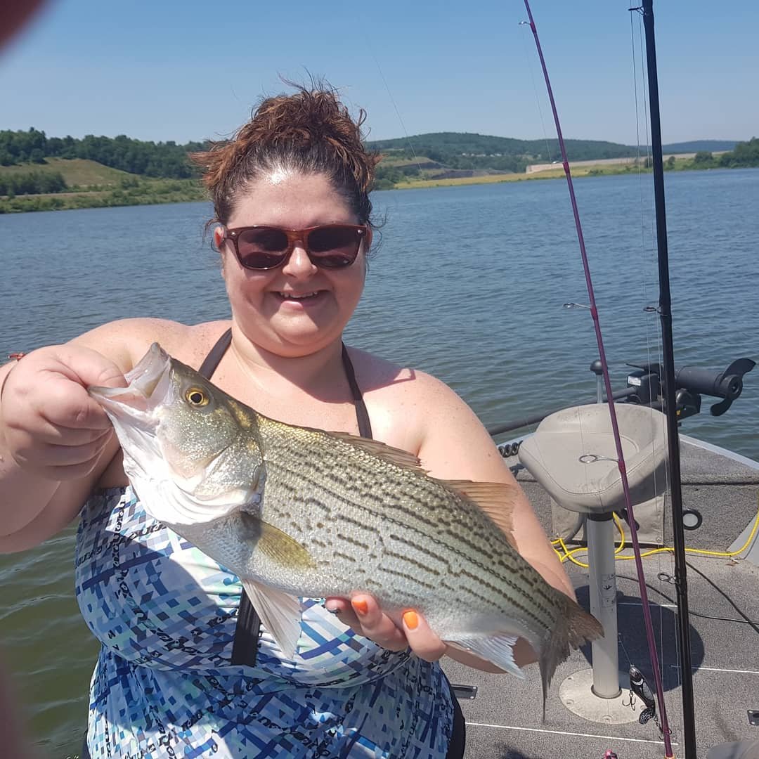 DonKelly/TackleShack (TackleShackPA) Twitter