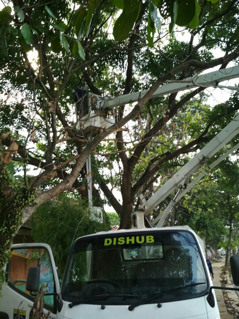 Perbaikan pju padam pada 29 juni 2018 dijalan setu cilodong <a href="/pemkotdepok/">PEMERINTAH KOTA DEPOK | #AyoPakaiMasker</a> <a href="/IdrisAShomad/">Mohammad Idris</a>