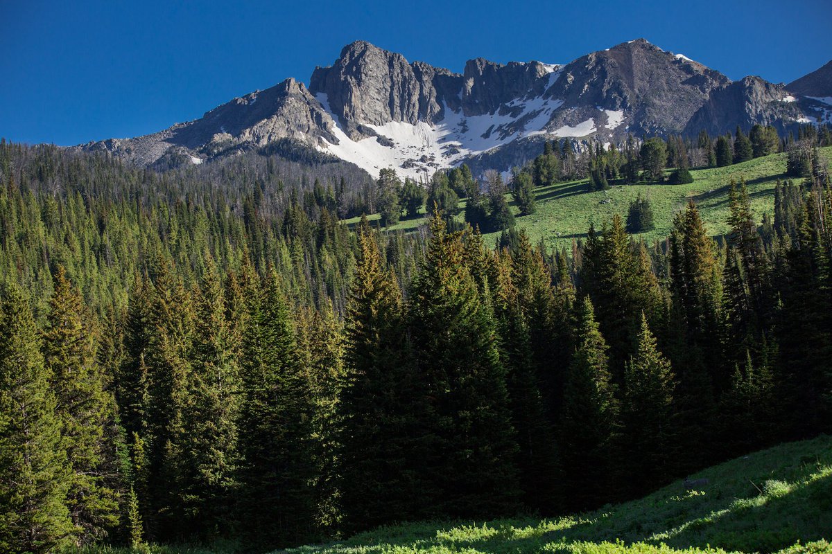 bigskySIR's tweet photo. NEW LISTING: Beehive Basin Trail is regularly named on of the most scenic hikes in all of the U.S. which makes this lot near the trailhead extra special. With direct views of Beehive Peak in an area bursting with wildlife, this five-acre lot is one to consider! #beehivebasin https://t.co/HxjUNnog6V