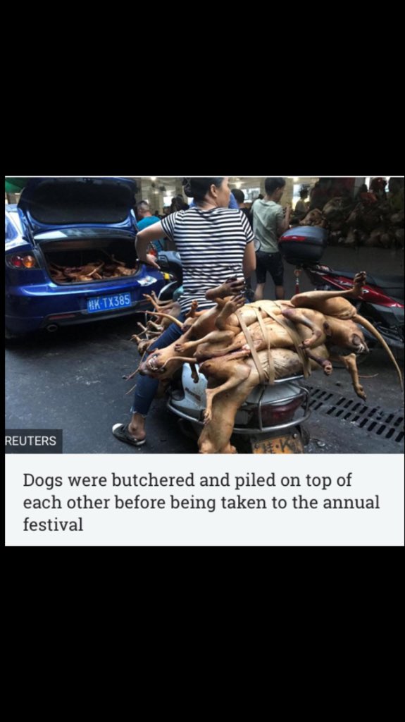 shaundubss's tweet photo. #YulinFestival2018 #DogMeatTrade #YulinDogMeatFestival I see humans, BUT NO HUMANITY..........We all need to keep fighting to END this horrendously cruel trade👊🏻🙏🐾😢 https://t.co/7cfXs3txv8