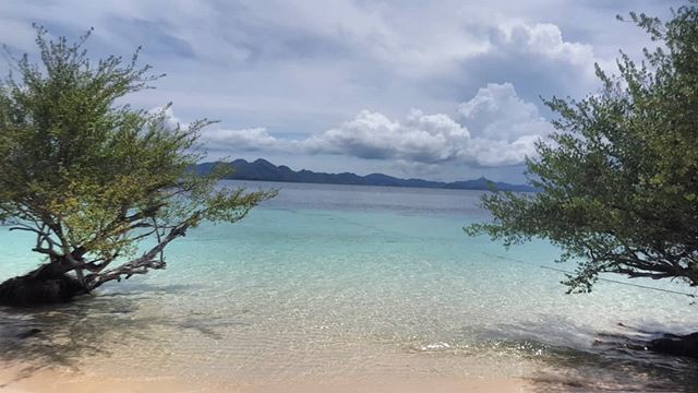 MyRealBliss's tweet photo. "Follow your bliss and the universe will open doors where there were only walls"
- Joseph Campbell
#bliss #followyourbliss #dreams #happiness #lifequotes #crystalclearwater #beautifulbeach #coron #philippines https://t.co/kdLH3RWKE2 https://t.co/wGFegWXxi6