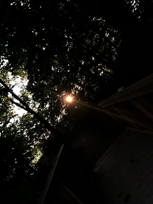 Watch Saleema 💖's leaked NSFW photo on TwXstars