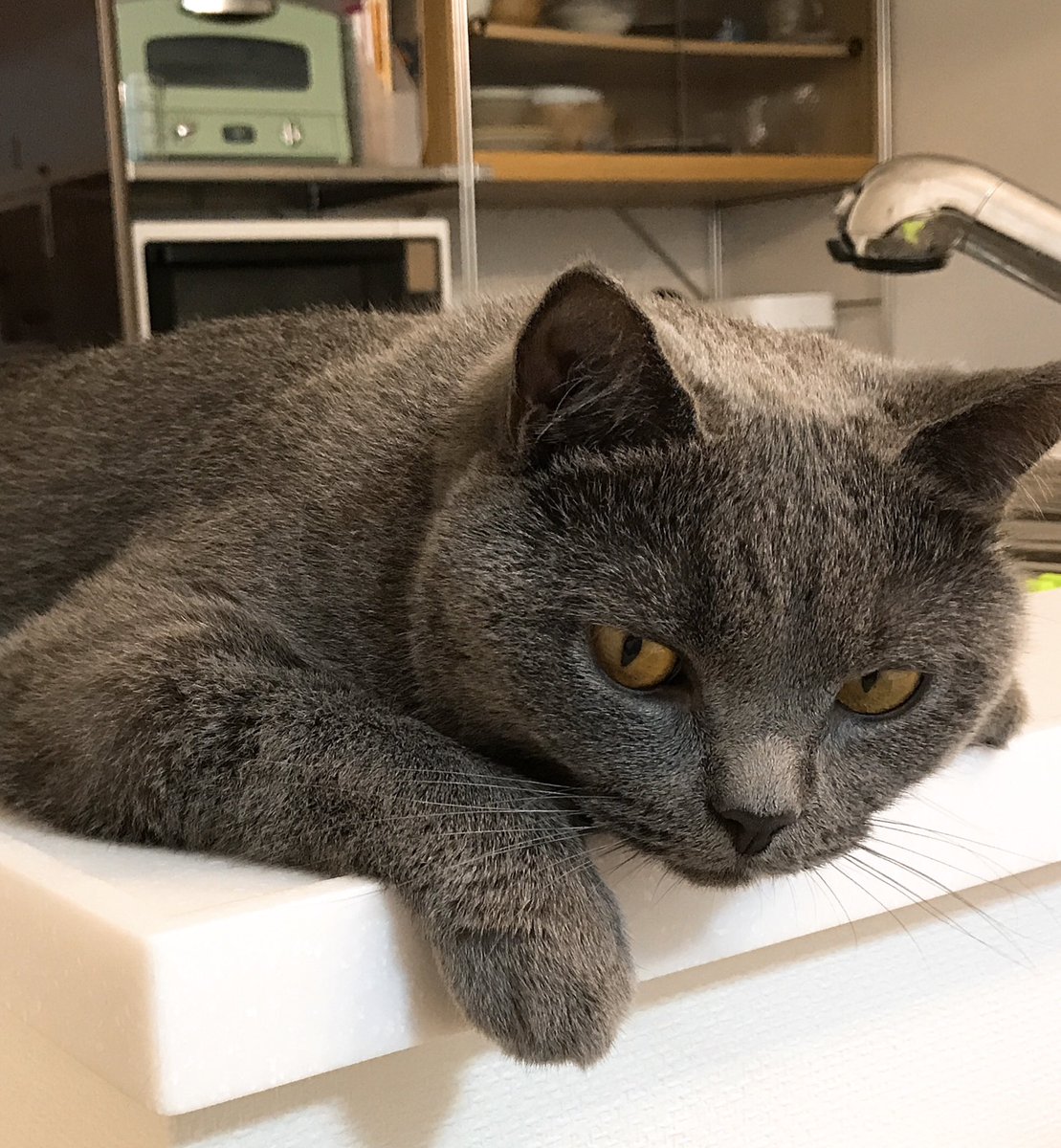 洲崎綾 夏バテごえ太郎