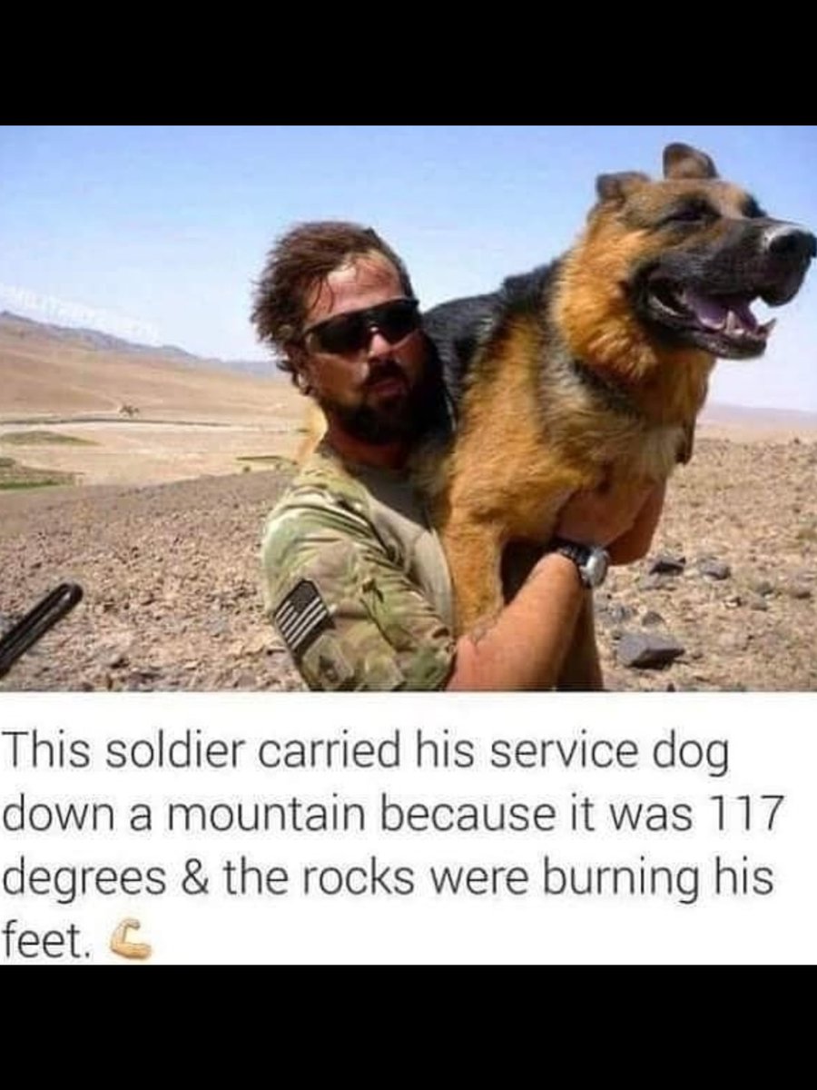 FranCifelli's tweet photo. This is something everyone needs to be mindful of this summer~Our pets have very delicate paws &amp; the sidewalks especially in the southwest can be like a frying pan~Please protect your animals feet~It's very hot out there~They burn easily~God Bless this soldier~♥️🐾🐾♥️~ https://t.co/B8YlwwulMS