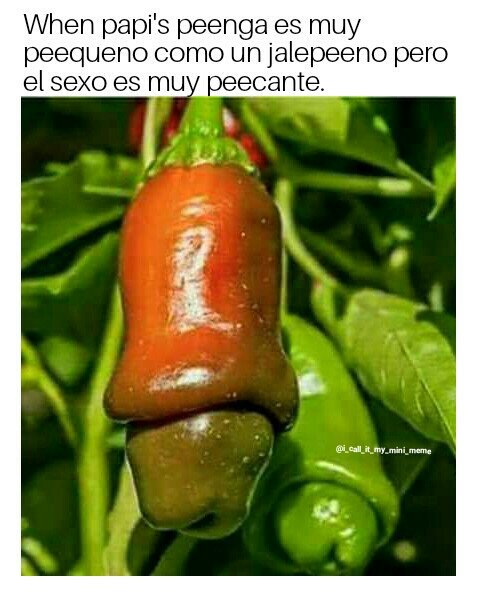Dougie_Powerz's tweet photo. It's not the size of the dog in the fight. .
#jalepeno #pepper #pickle #littledick #dougpowerz #littledickhead #funny #humormemes #humormeme #lol #jaja #haha #funnymememes #pequeno #hotpeppeer #littledickproblems #smallcock #penga #beecho #pee https://t.co/oNS6j8cdMy