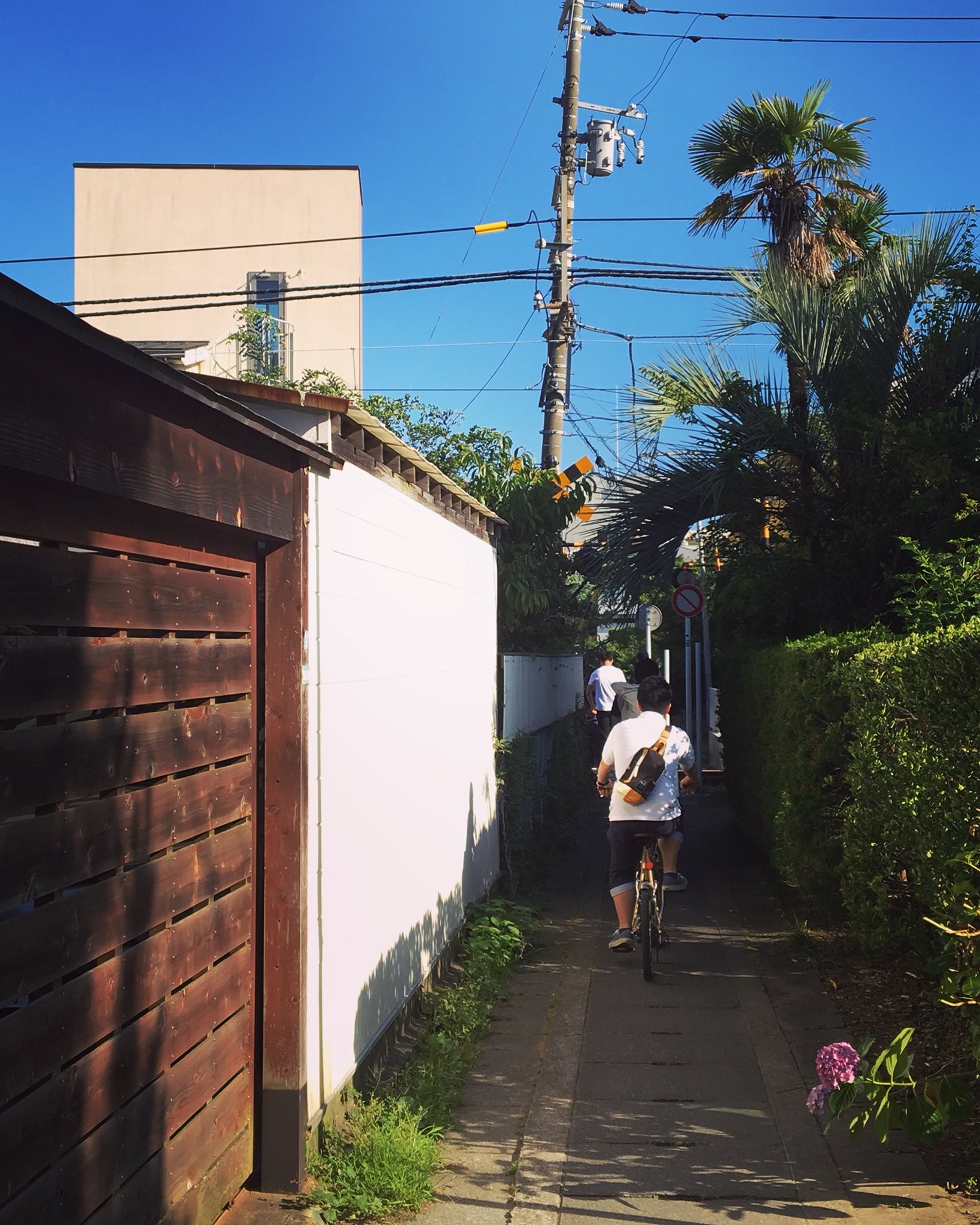 線路 自転車 で 走る
