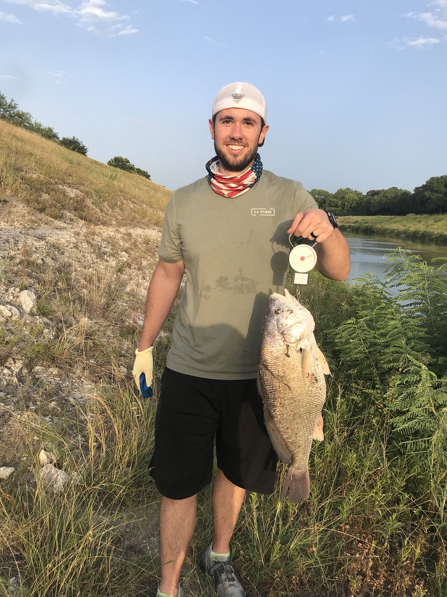 FishinFysician's tweet photo. Huge freshwater drum at the trinity river this evening! 👍🎣💪 #bassfishing #illtakeitthough https://t.co/pvSuFU6cga
