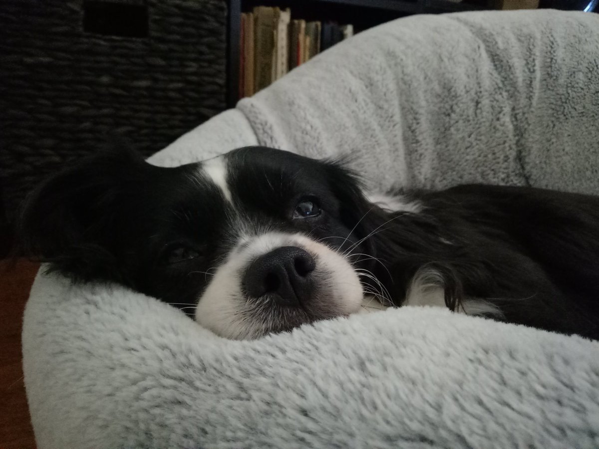 Rachel Simmonds tweet media