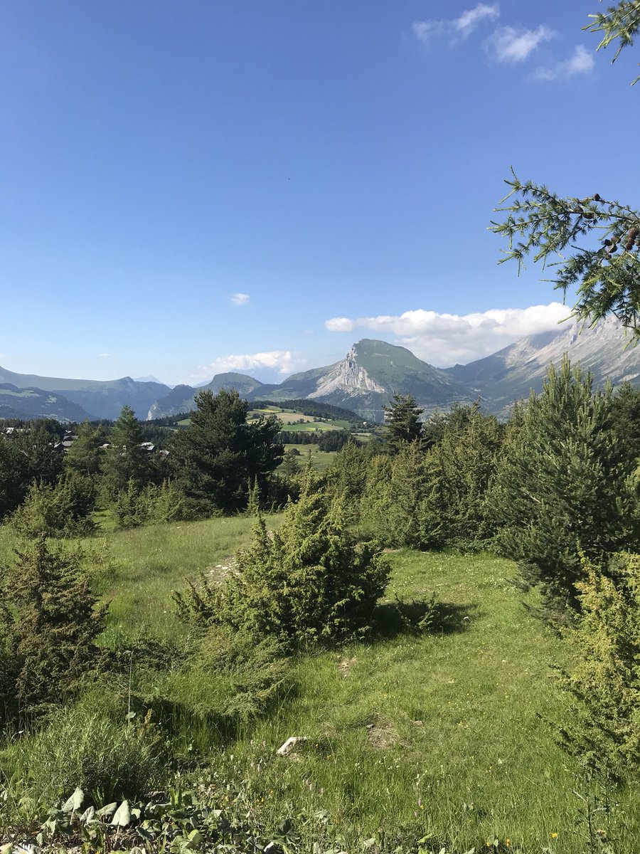 NCASTELLANI30's tweet image. Magnifique #Devoluy le plein de vitamines D 😎🌲☀️🚴‍♀️