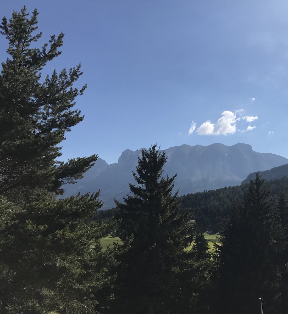 NCASTELLANI30's tweet image. Magnifique #Devoluy le plein de vitamines D 😎🌲☀️🚴‍♀️