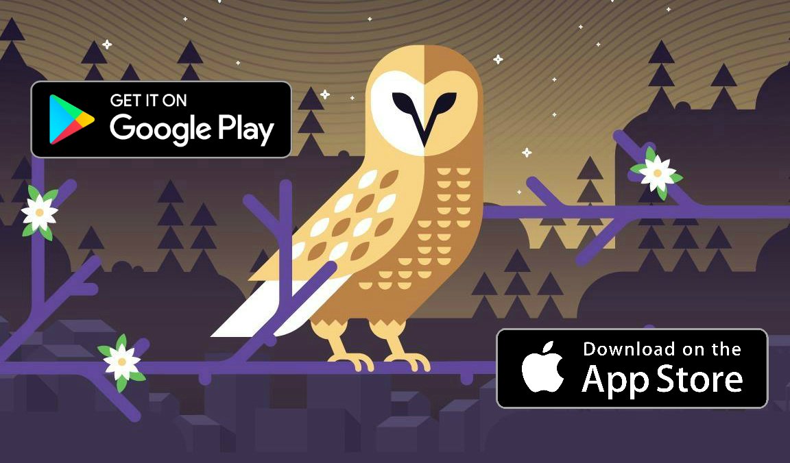 NLFB_festival's tweet photo. Wondering what there is to eat at the festival? Where to shop? Where to park? It's all in the mobile app for Android and Apple: https://t.co/bcmTLpoTer
#NLFB2018
#festivalapp #northernlightsfestival #ontariofestivals #canadianfestivals #music festival https://t.co/ClUdxC1GCJ