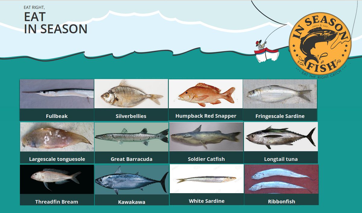 It’s a fresh month & there’s new 💕activity in the oceans! Wondering what fish are #InSeason this #July? Below are some of the #InSeasonFish on both coasts. Visit inseasonfish.com for coast-specific information, more varieties & fish facts. Remember to #AskForInSeasonFish!