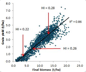 With nearly 3000 plots over 3 years (2014-2016) its compelling that if canola yields less than anticipated its more likely a lack of biomass than a low harvest index (HI). In the next phase of project (2017-2018) we are finding management strategies that optimise biomass and HI